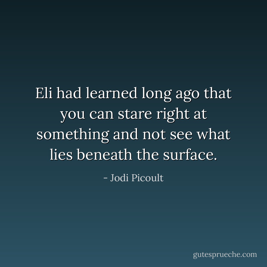 Eli had learned long ago that you can stare right at something and not see what lies beneath the surface. - Jodi Picoult