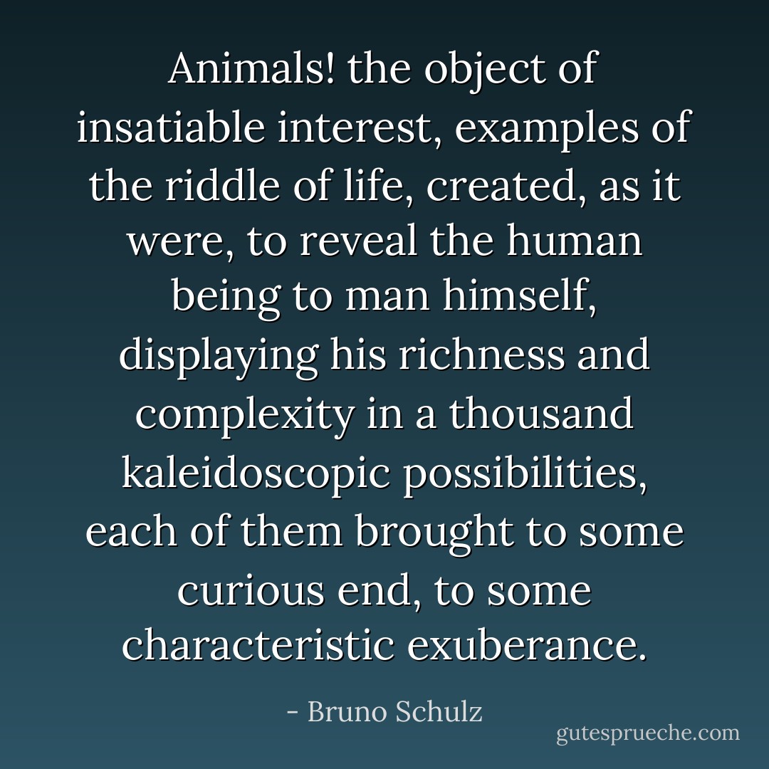 Animals! the object of insatiable interest, examples of the riddle of life, created, as it were, to reveal the human being to man himself, displaying his richness and complexity in a thousand kaleidoscopic possibilities, each of them brought to some curious end, to some characteristic exuberance. - Bruno Schulz