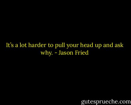 It’s a lot harder to pull your head up and ask why. - Jason Fried