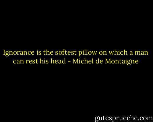 Ignorance is the softest pillow on which a man can rest his head - Michel de Montaigne