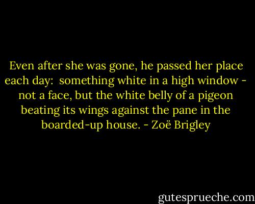 Even after she was gone, he passed her place each day: <br />something white in a high window - not a face,<br />but the white belly of a pigeon beating its wings<br />against the pane in the boarded-up house. - Zoë Brigley