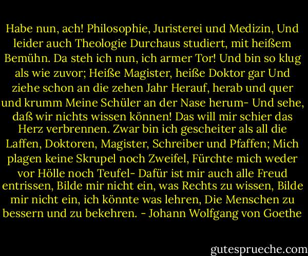 Habe nun, ach! Philosophie,<br />Juristerei und Medizin,<br />Und leider auch Theologie<br />Durchaus studiert, mit heißem Bemühn.<br />Da steh ich nun, ich armer Tor!<br />Und bin so klug als wie zuvor;<br />Heiße Magister, heiße Doktor gar<br />Und ziehe schon an die zehen Jahr<br />Herauf, herab und quer und krumm<br />Meine Schüler an der Nase herum-<br />Und sehe, daß wir nichts wissen können!<br />Das will mir schier das Herz verbrennen.<br />Zwar bin ich gescheiter als all die Laffen,<br />Doktoren, Magister, Schreiber und Pfaffen;<br />Mich plagen keine Skrupel noch Zweifel,<br />Fürchte mich weder vor Hölle noch Teufel-<br />Dafür ist mir auch alle Freud entrissen,<br />Bilde mir nicht ein, was Rechts zu wissen,<br />Bilde mir nicht ein, ich könnte was lehren,<br />Die Menschen zu bessern und zu bekehren. - Johann Wolfgang von Goethe