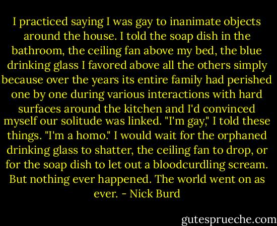 I practiced saying I was gay to inanimate objects around the house. I told the soap dish in the bathroom, the ceiling fan above my bed, the blue drinking glass I favored above all the others simply because over the years its entire family had perished one by one during various interactions with hard surfaces around the kitchen and I'd convinced myself our solitude was linked.<br />"I'm gay," I told these things. "I'm a homo."<br />I would wait for the orphaned drinking glass to shatter, the ceiling fan to drop, or for the soap dish to let out a bloodcurdling scream. But nothing ever happened. The world went on as ever. - Nick Burd