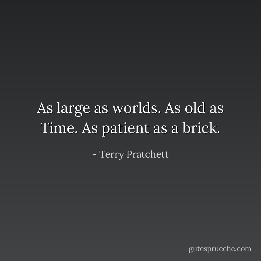 As large as worlds. As old as Time. As patient as a brick. - Terry Pratchett