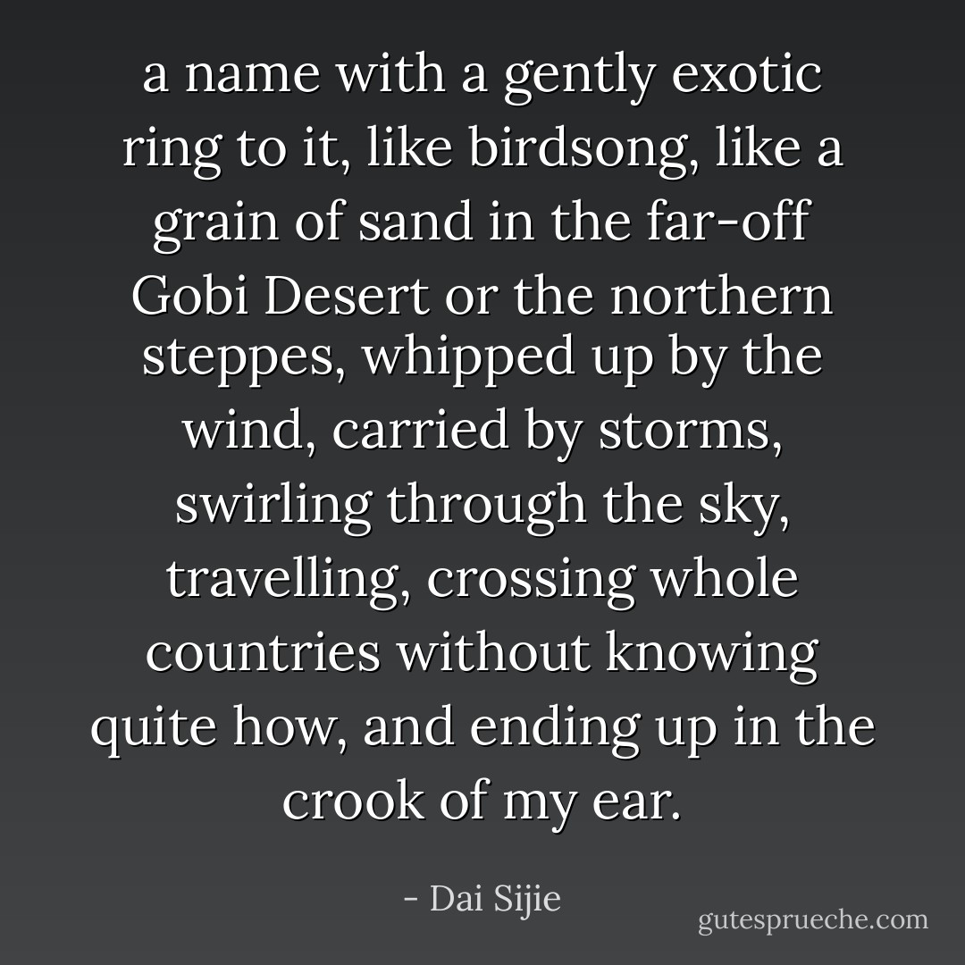 a name with a gently exotic ring to it, like birdsong, like a grain of sand in the far-off Gobi Desert or the northern steppes, whipped up by the wind, carried by storms, swirling through the sky, travelling, crossing whole countries without knowing quite how, and ending up in the crook of my ear. - Dai Sijie