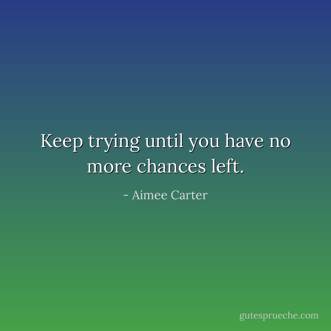 Keep trying until you have no more chances left. - Aimee Carter