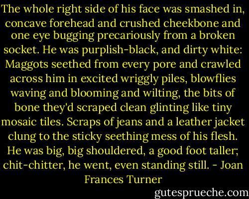 The whole right side of his face was smashed in, concave forehead and crushed cheekbone and one eye bugging precariously from a broken socket. He was purplish-black, and dirty white: Maggots seethed from every pore and crawled across him in excited wriggly piles, blowflies waving and blooming and wilting, the bits of bone they'd scraped clean glinting like tiny mosaic tiles. Scraps of jeans and a leather jacket clung to the sticky seething mess of his flesh. He was big, big shouldered, a good foot taller; chit-chitter, he went, even standing still. - Joan Frances Turner
