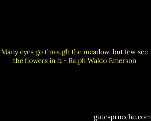 Many eyes go through the meadow, but few see the flowers in it - Ralph Waldo Emerson