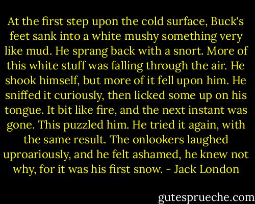 At the first step upon the cold surface, Buck's feet sank into a white mushy something very like mud. He sprang back with a snort. More of this white stuff was falling through the air. He shook himself, but more of it fell upon him. He sniffed it curiously, then licked some up on his tongue. It bit like fire, and the next instant was gone. This puzzled him. He tried it again, with the same result. The onlookers laughed uproariously, and he felt ashamed, he knew not why, for it was his first snow. - Jack London