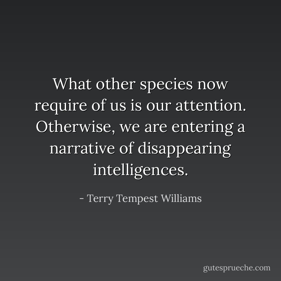 What other species now require of us is our attention. Otherwise, we are entering a narrative of disappearing intelligences. - Terry Tempest Williams