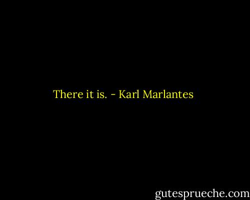 There it is. - Karl Marlantes