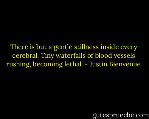 There is but a gentle stillness inside every cerebral. Tiny waterfalls of blood vessels rushing, becoming lethal. - Justin Bienvenue