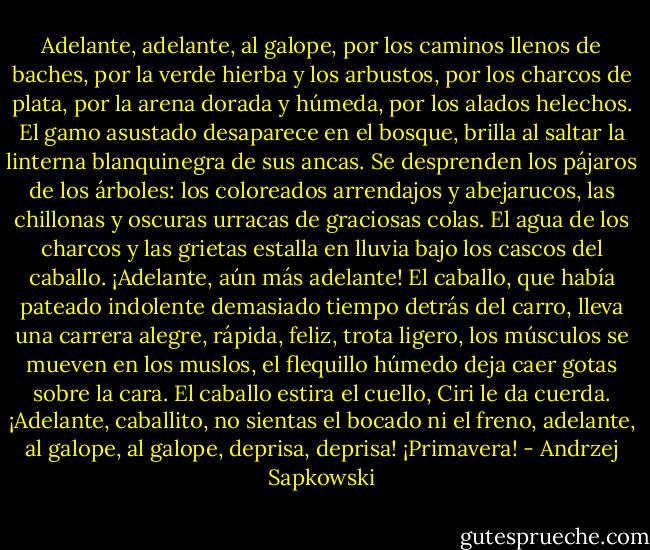 Adelante, adelante, al galope, por los caminos llenos de baches, por la verde hierba y los arbustos, por los charcos de plata, por la arena dorada y húmeda, por los alados helechos. El gamo asustado desaparece en el bosque, brilla al saltar la linterna blanquinegra de sus ancas. Se desprenden los pájaros de los árboles: los coloreados arrendajos y abejarucos, las chillonas y oscuras urracas de graciosas colas. El agua de los charcos y las grietas estalla en lluvia bajo los cascos del caballo.<br />¡Adelante, aún más adelante! El caballo, que había pateado indolente demasiado tiempo detrás del carro, lleva una carrera alegre, rápida, feliz, trota ligero, los músculos se mueven en los muslos, el flequillo húmedo deja caer gotas sobre la cara. El caballo estira el cuello, Ciri le da cuerda. ¡Adelante, caballito, no sientas el bocado ni el freno, adelante, al galope, al galope, deprisa, deprisa! ¡Primavera! - Andrzej Sapkowski