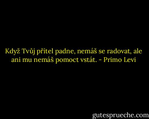 Když Tvůj přítel padne, nemáš se radovat, ale ani mu nemáš pomoct vstát. - Primo Levi