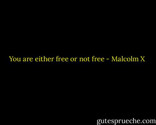 You are either free or not free - Malcolm X