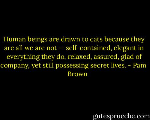 Human beings are drawn to cats because they are all we are not — self-contained, elegant in everything they do, relaxed, assured, glad of company, yet still possessing secret lives. - Pam      Brown