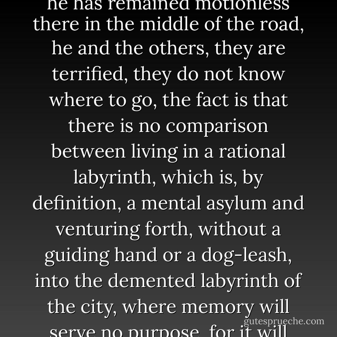 Say to a blind man, you’re free, open the door that was separating him from the world, Go, you are free, we tell him once more, and he does not go, he has remained motionless there in the middle of the road, he and the others, they are terrified, they do not know where to go, the fact is that there is no comparison between living in a rational labyrinth, which is, by definition, a mental asylum and venturing forth, without a guiding hand or a dog-leash, into the demented labyrinth of the city, where memory will serve no purpose, for it will merely be able to recall the images of places but not the paths whereby we might get there. - José Saramago
