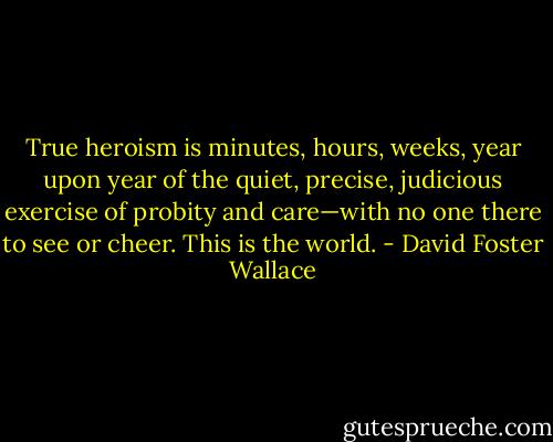 True heroism is minutes, hours, weeks, year upon year of the quiet, precise, judicious exercise of probity and care—with no one there to see or cheer. This is the world. - David Foster Wallace