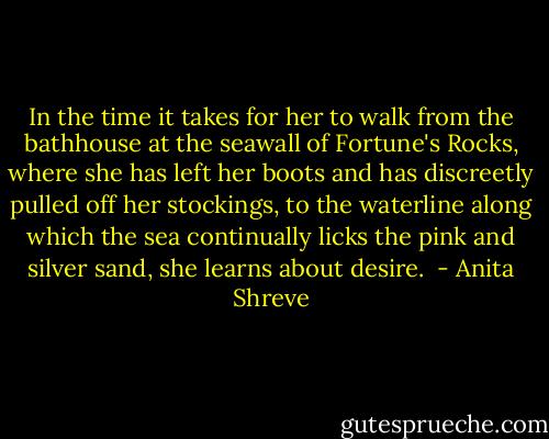 In the time it takes for her to walk from the bathhouse at the seawall of Fortune's Rocks, where she has left her boots and has discreetly pulled off her stockings, to the waterline along which the sea continually licks the pink and silver sand, she learns about desire.  - Anita Shreve