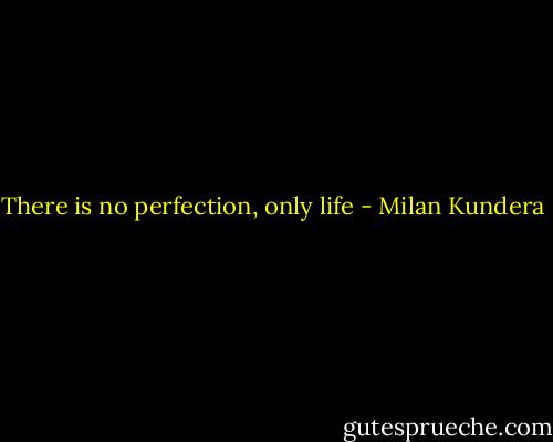 There is no perfection, only life - Milan Kundera
