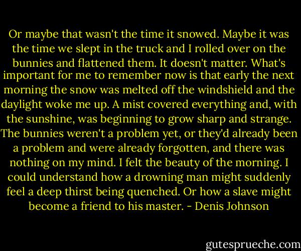 Or maybe that wasn't the time it snowed. Maybe it was the time we slept in the truck and I rolled over on the bunnies and flattened them. It doesn't matter. What's important for me to remember now is that early the next morning the snow was melted off the windshield and the daylight woke me up. A mist covered everything and, with the sunshine, was beginning to grow sharp and strange. The bunnies weren't a problem yet, or they'd already been a problem and were already forgotten, and there was nothing on my mind. I felt the beauty of the morning. I could understand how a drowning man might suddenly feel a deep thirst being quenched. Or how a slave might become a friend to his master. - Denis Johnson