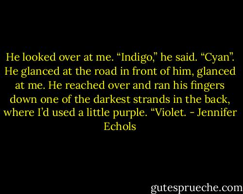 He looked over at me. “Indigo,” he said. “Cyan”. He glanced at the road in front of him, glanced at me. He reached over and ran his fingers down one of the darkest strands in the back, where I’d used a little purple. “Violet. - Jennifer Echols