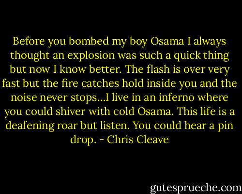 Before you bombed my boy Osama I always thought an explosion was such a quick thing but now I know better. The flash is over very fast but the fire catches hold inside you and the noise never stops…I live in an inferno where you could shiver with cold Osama. This life is a deafening roar but listen. You could hear a pin drop. - Chris Cleave