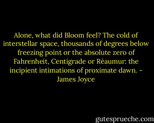 Alone, what did Bloom feel?<br />The cold of interstellar space, thousands of degrees below freezing point or the absolute zero of Fahrenheit, Centigrade or Réaumur: the incipient intimations of proximate dawn. - James Joyce