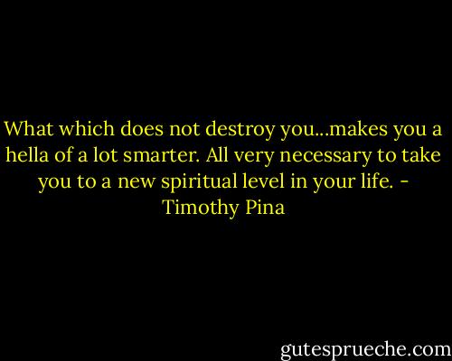 What which does not destroy you...makes you a hella of a lot smarter. All very necessary to take you to a new spiritual level in your life. - Timothy Pina