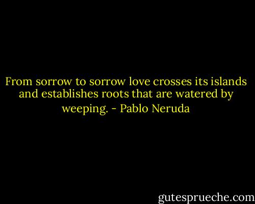 From sorrow to sorrow love crosses its islands<br />and establishes roots that are watered by weeping. - Pablo Neruda