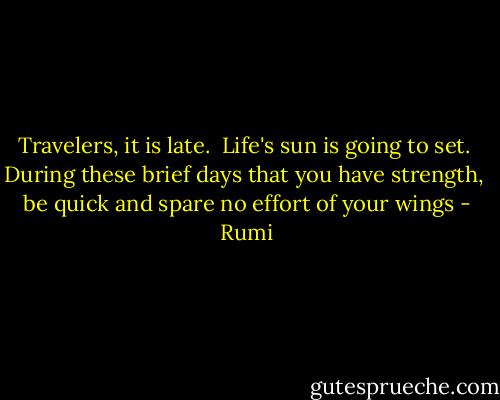 Travelers, it is late. <br />Life's sun is going to set. <br />During these brief days that you have strength, <br />be quick and spare no effort of your wings - Rumi
