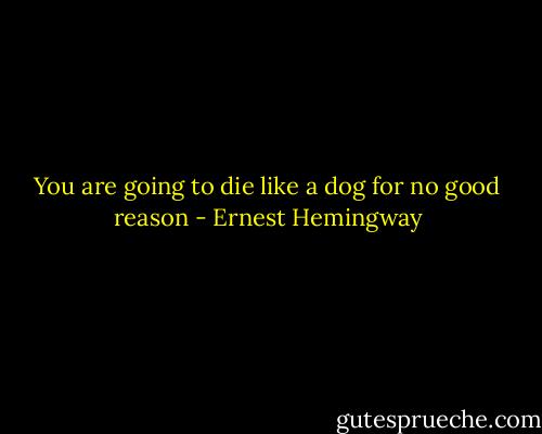 You are going to die like a dog for no good reason - Ernest Hemingway