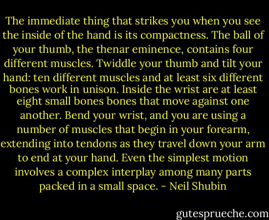 The immediate thing that strikes you when you see the inside of the hand is its compactness. The ball of your thumb, the thenar eminence, contains four different muscles. Twiddle your thumb and tilt your hand: ten different muscles and at least six different bones work in unison. Inside the wrist are at least eight small bones bones that move against one another. Bend your wrist, and you are using a number of muscles that begin in your forearm, extending into tendons as they travel down your arm to end at your hand. Even the simplest motion involves a complex interplay among many parts packed in a small space. - Neil Shubin