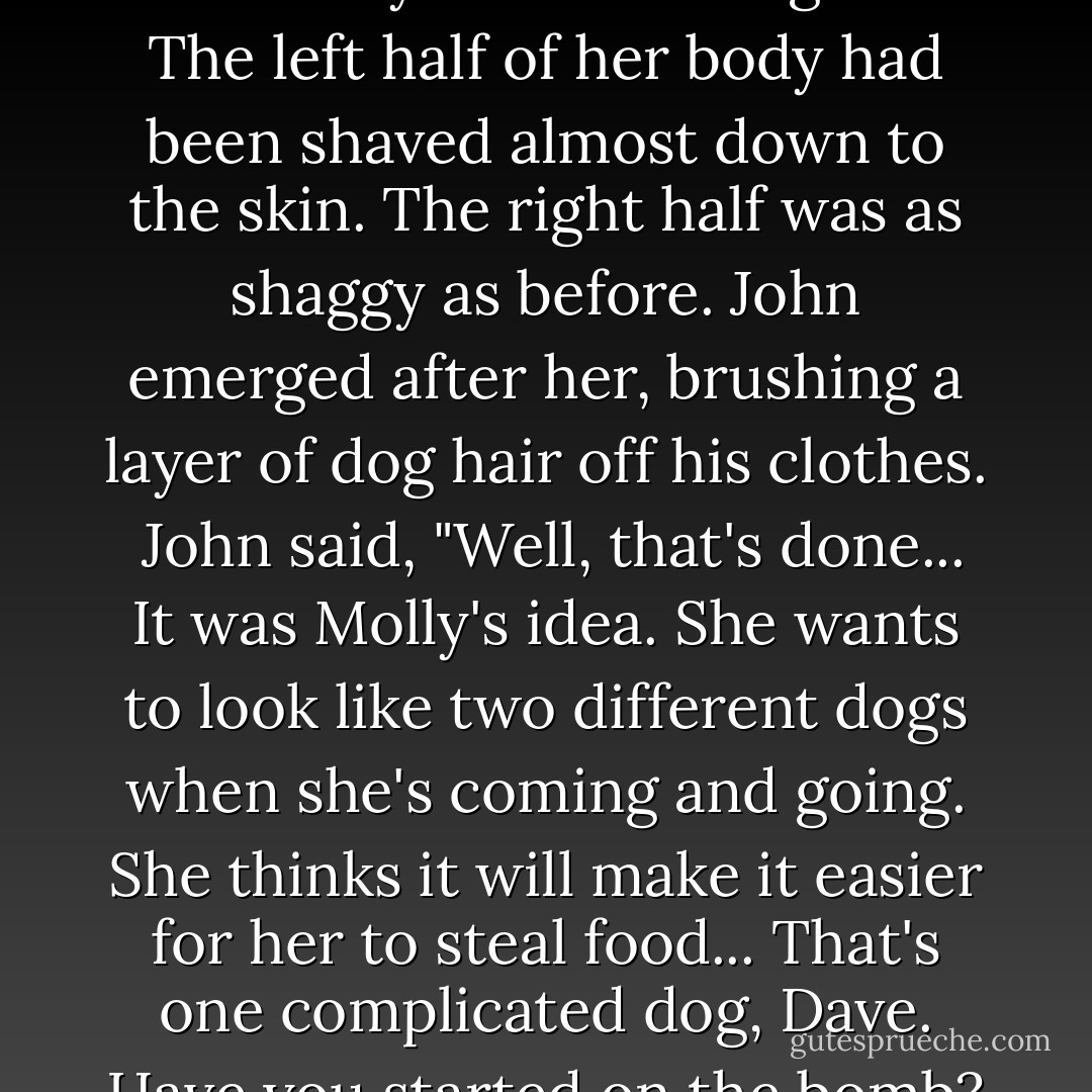 The bathroom door burst open, and Molly came trotting out. The left half of her body had been shaved almost down to the skin. The right half was as shaggy as before. John emerged after her, brushing a layer of dog hair off his clothes.<br /><br />John said, "Well, that's done... It was Molly's idea. She wants to look like two different dogs when she's coming and going. She thinks it will make it easier for her to steal food... That's one complicated dog, Dave. Have you started on the bomb? - David  Wong