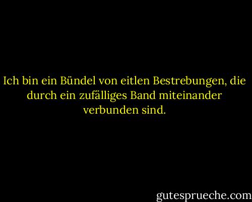 Ich bin ein Bündel von eitlen Bestrebungen, die durch ein zufälliges Band miteinander verbunden sind. - Henry David Thoreau<