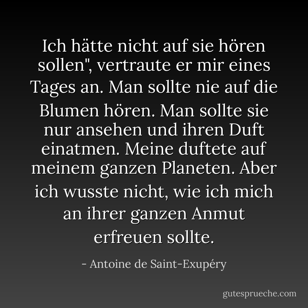 Ich hätte nicht auf sie hören sollen", vertraute er mir eines Tages an. Man sollte nie auf die Blumen hören. Man sollte sie nur ansehen und ihren Duft einatmen. Meine duftete auf meinem ganzen Planeten. Aber ich wusste nicht, wie ich mich an ihrer ganzen Anmut erfreuen sollte. - Antoine de Saint-Exupéry<