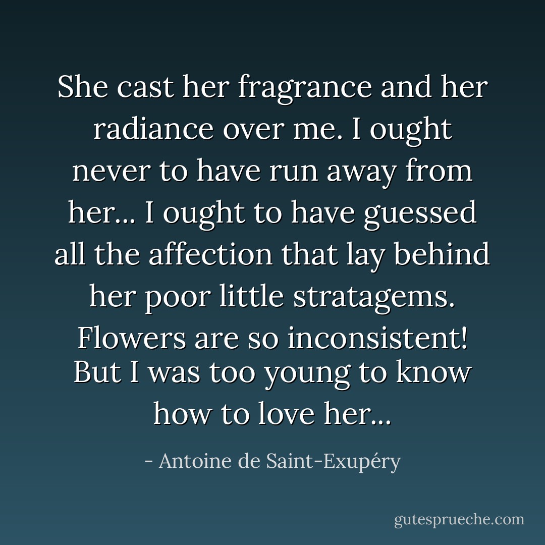 She cast her fragrance and her radiance over me. I ought never to have run away from her... I ought to have guessed all the affection that lay behind her poor little stratagems. Flowers are so inconsistent! But I was too young to know how to love her... - Antoine de Saint-Exupéry