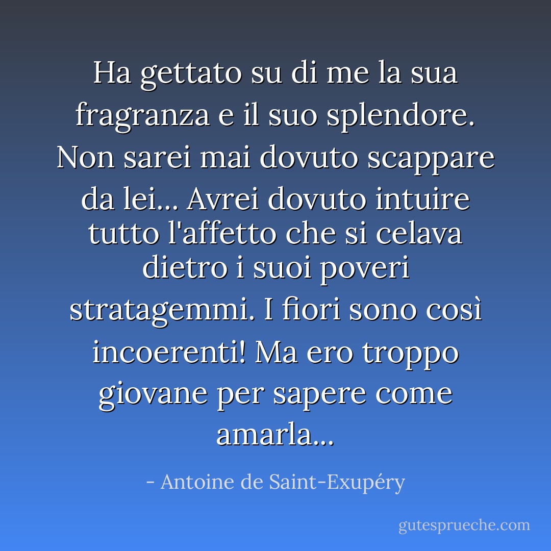 Ha gettato su di me la sua fragranza e il suo splendore. Non sarei mai dovuto scappare da lei... Avrei dovuto intuire tutto l'affetto che si celava dietro i suoi poveri stratagemmi. I fiori sono così incoerenti! Ma ero troppo giovane per sapere come amarla... - Antoine de Saint-Exupéry