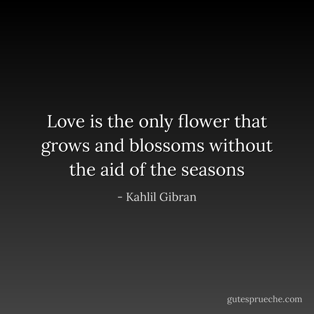 Love is the only flower that grows and blossoms without the aid of the seasons - Kahlil Gibran