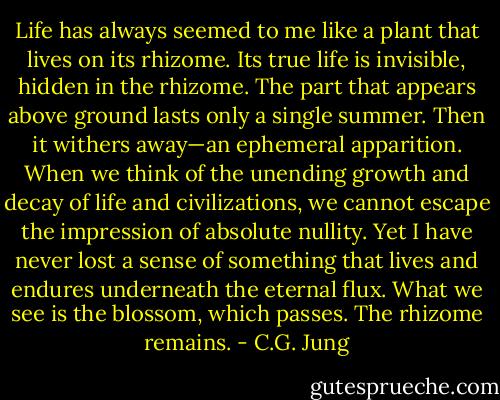 Life has always seemed to me like a plant that lives on its rhizome. Its true life is invisible, hidden in the rhizome. The part that appears above ground lasts only a single summer. Then it withers away—an ephemeral apparition. When we think of the unending growth and decay of life and civilizations, we cannot escape the impression of absolute nullity. Yet I have never lost a sense of something that lives and endures underneath the eternal flux. What we see is the blossom, which passes. The rhizome remains. - C.G. Jung