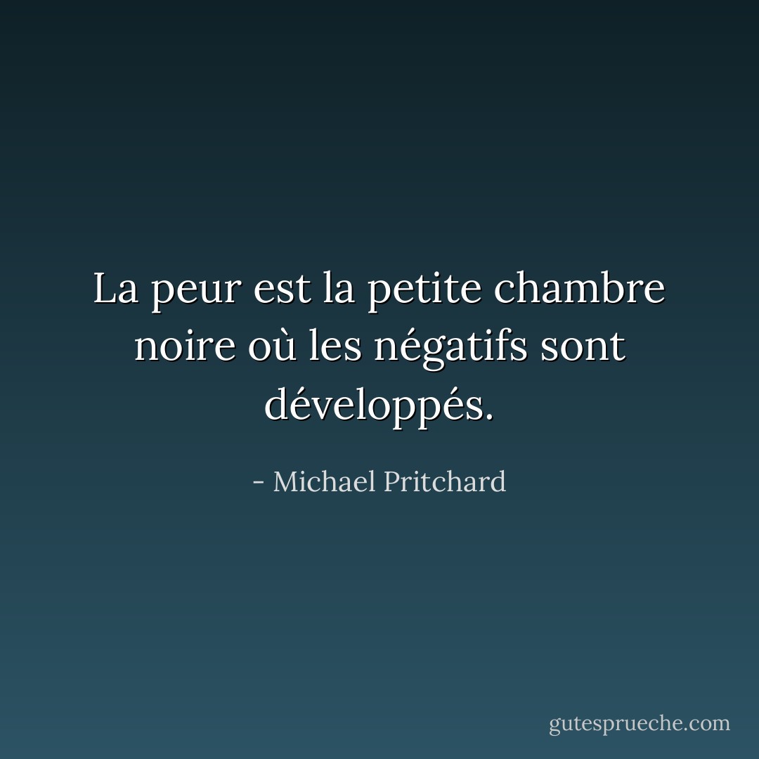 La peur est la petite chambre noire où les négatifs sont développés. - Michael Pritchard
