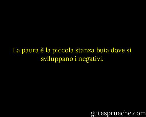 La paura è la piccola stanza buia dove si sviluppano i negativi. - Michael Pritchard