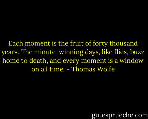 Each moment is the fruit of forty thousand years. The minute-winning days, like flies, buzz home to death, and every moment is a window on all time. - Thomas Wolfe
