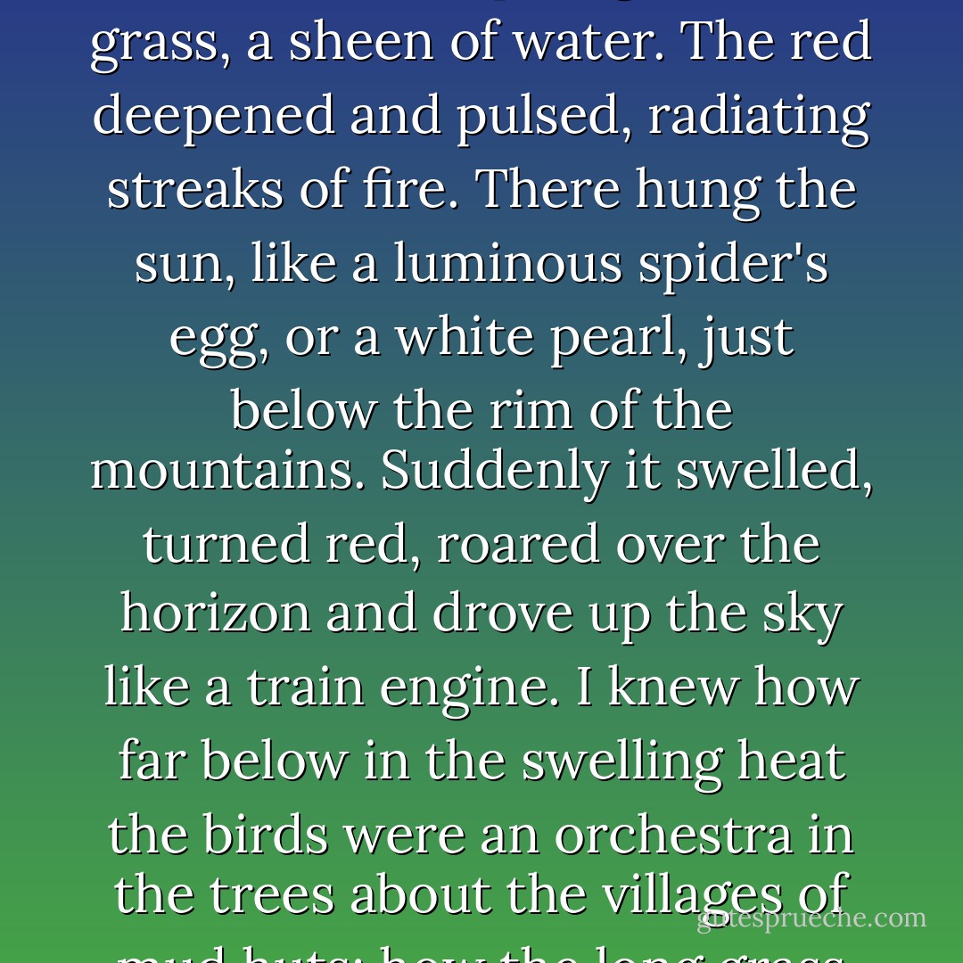 Over the plains of Ethiopia the sun rose as I had not seen it in seven years. A big, cool, empty sky flushed a little above a rim of dark mountains. The landscape 20,000 feet below gathered itself from the dark and showed a pale gleam of grass, a sheen of water. The red deepened and pulsed, radiating streaks of fire. There hung the sun, like a luminous spider's egg, or a white pearl, just below the rim of the mountains. Suddenly it swelled, turned red, roared over the horizon and drove up the sky like a train engine. I knew how far below in the swelling heat the birds were an orchestra in the trees about the villages of mud huts; how the long grass was straightening while dangling locks of dewdrops dwindled and dried; how the people were moving out into the fields about the business of herding and hoeing. - Doris Lessing