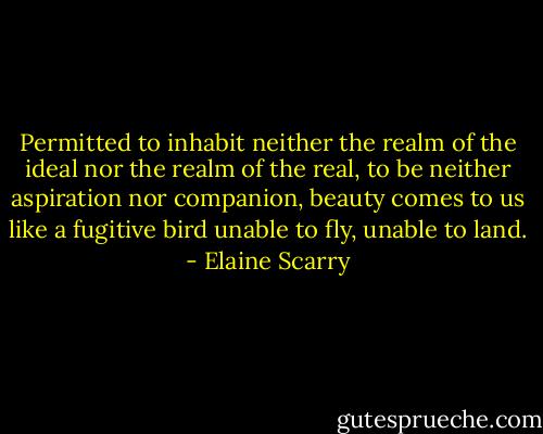 Permitted to inhabit neither the realm of the ideal nor the realm of the real, to be neither aspiration nor companion, beauty comes to us like a fugitive bird unable to fly, unable to land. - Elaine Scarry