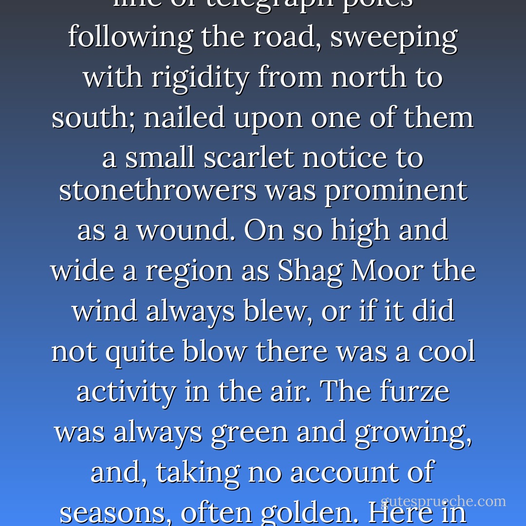 A high upland common was this moor, two miles from end to end, and full of furze and bracken. There were no trees and not a house, nothing but a line of telegraph poles following the road, sweeping with rigidity from north to south; nailed upon one of them a small scarlet notice to stonethrowers was prominent as a wound. On so high and wide a region as Shag Moor the wind always blew, or if it did not quite blow there was a cool activity in the air. The furze was always green and growing, and, taking no account of seasons, often golden. Here in summer solitude lounged and snoozed; at other times, as now, it shivered and looked sinister. ("The Higgler") - A.E. Coppard