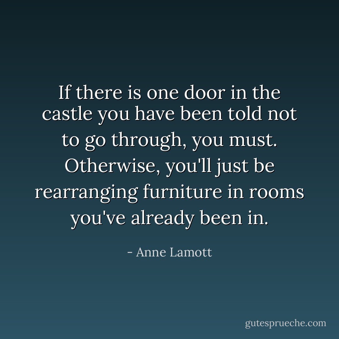 If there is one door in the castle you have been told not to go through, you must. Otherwise, you'll just be rearranging furniture in rooms you've already been in. - Anne Lamott