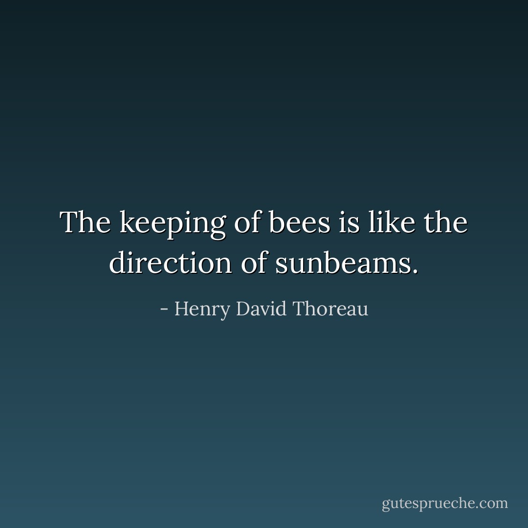 The keeping of bees is like the direction of sunbeams. - Henry David Thoreau