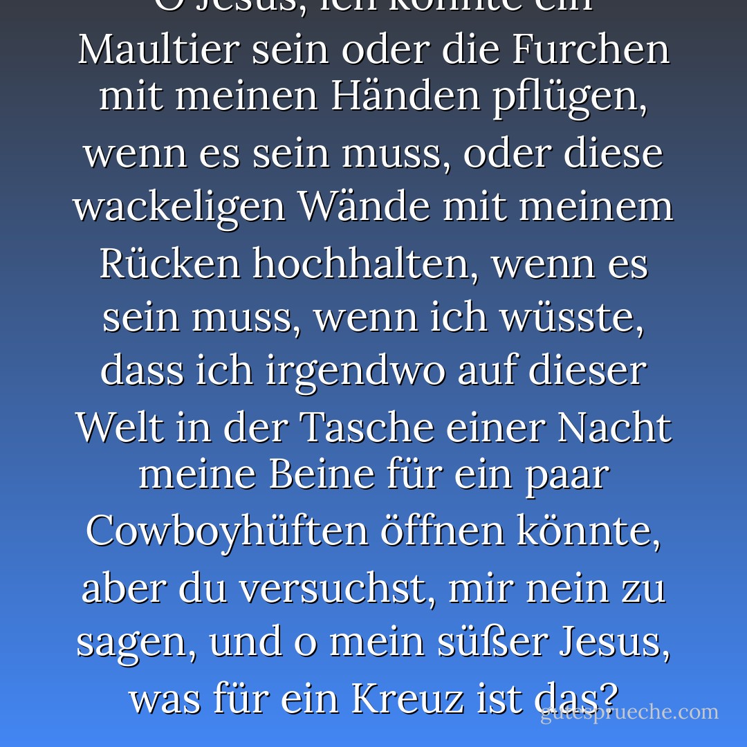 O Jesus, ich könnte ein Maultier sein oder die Furchen mit meinen Händen pflügen, wenn es sein muss, oder diese wackeligen Wände mit meinem Rücken hochhalten, wenn es sein muss, wenn ich wüsste, dass ich irgendwo auf dieser Welt in der Tasche einer Nacht meine Beine für ein paar Cowboyhüften öffnen könnte, aber du versuchst, mir nein zu sagen, und o mein süßer Jesus, was für ein Kreuz ist das? - Toni Morrison<
