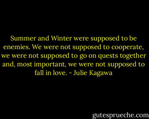 Summer and Winter were supposed to be enemies. We were not supposed to cooperate, we were not supposed to go on quests together and, most important, we were not supposed to fall in love. - Julie Kagawa